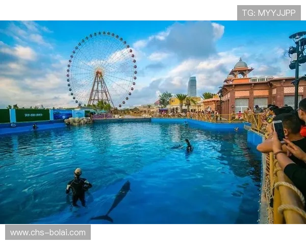 三亚娱乐城夜生活指南：精彩纷呈的夜间娱乐活动